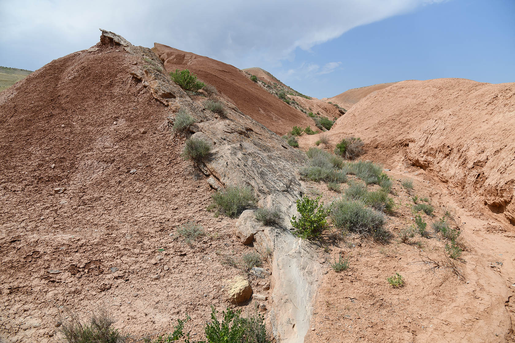 Исфара, image of landscape/habitat.