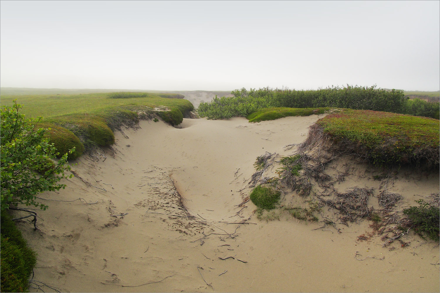 Долина реки Пяйва, image of landscape/habitat.