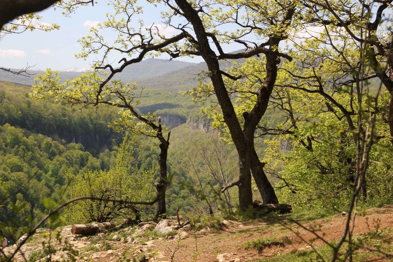 Хребет Уна-Коз, изображение ландшафта.