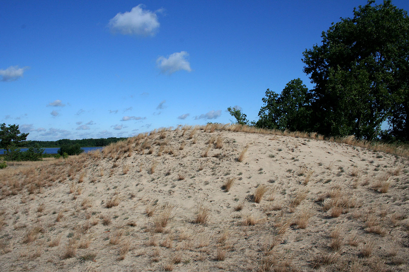 Озеро Святое, image of landscape/habitat.