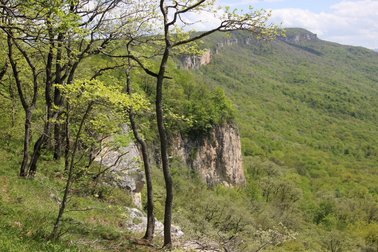 Хребет Уна-Коз, image of landscape/habitat.