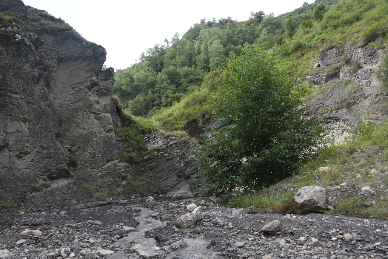 Ещё один левый приток Цесиахк, image of landscape/habitat.