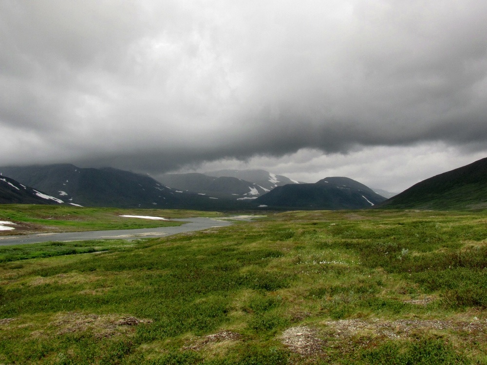 Верховья Большой Усы, image of landscape/habitat.