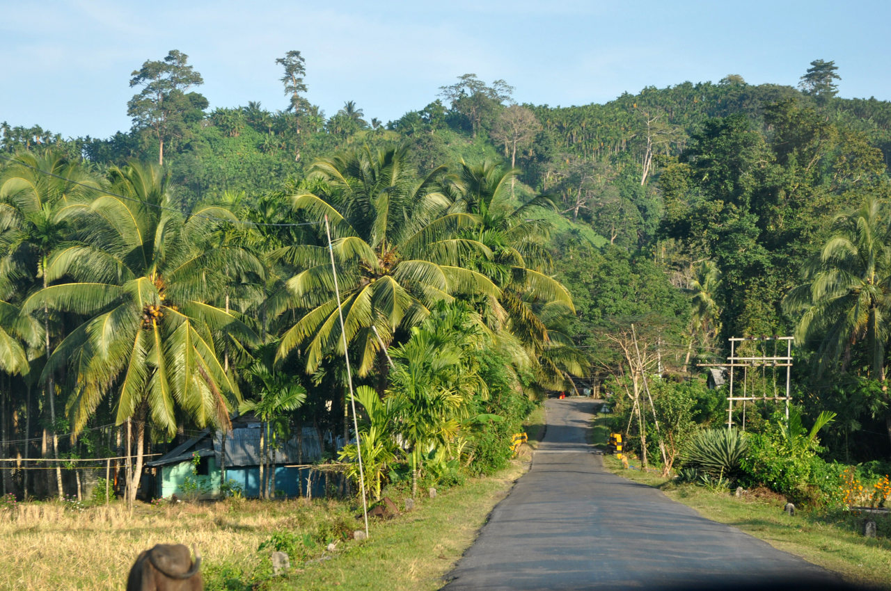 Остров Хейвлок, image of landscape/habitat.