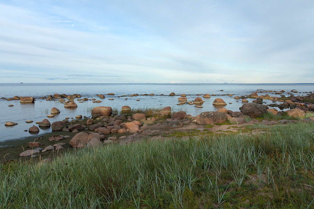 Колгомпя, image of landscape/habitat.