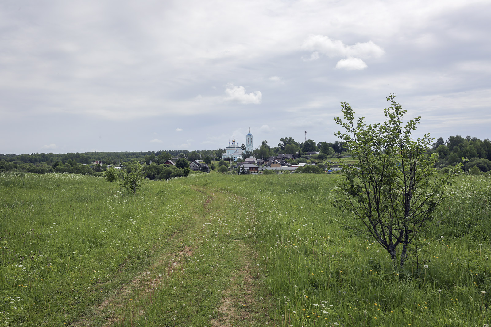 Старая Слобода и окрестности, image of landscape/habitat.