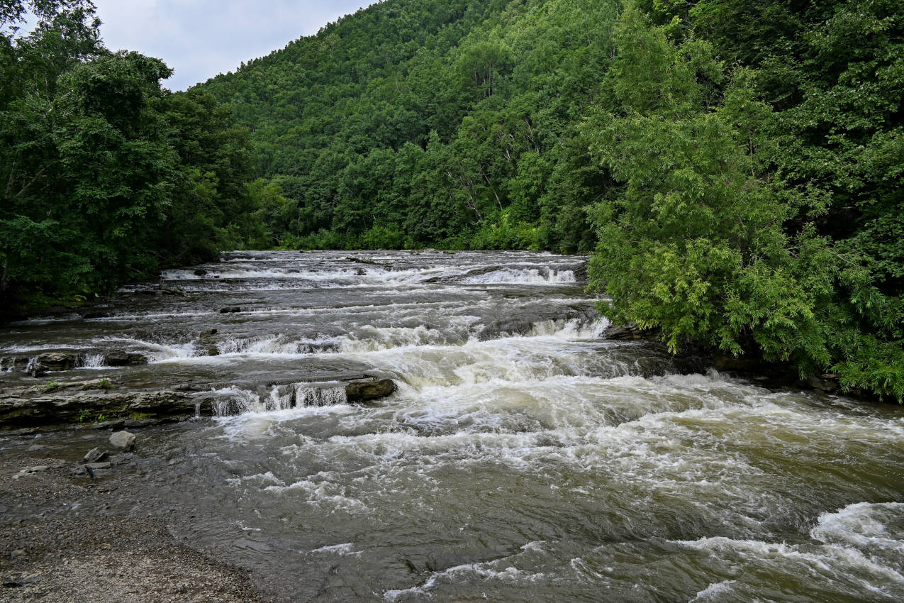 Быковские пороги, image of landscape/habitat.