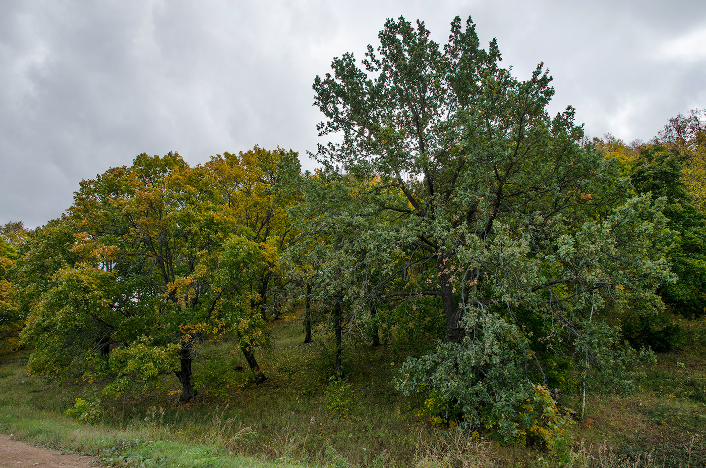 Кальшали, image of landscape/habitat.