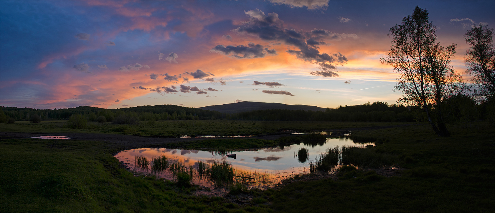 Яльчигулово и окрестности, image of landscape/habitat.