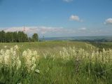 Бавлы, image of landscape/habitat.