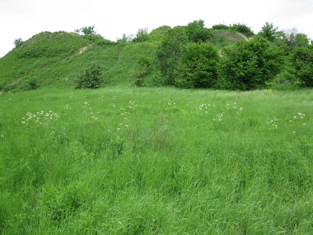 Ботсад им. Гришко, image of landscape/habitat.