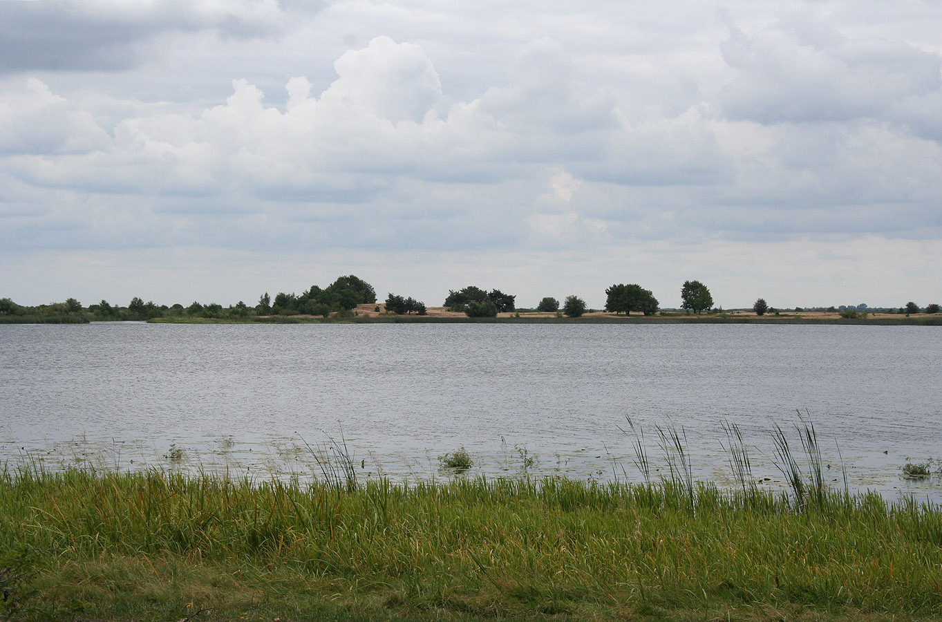 Озеро Святое, image of landscape/habitat.