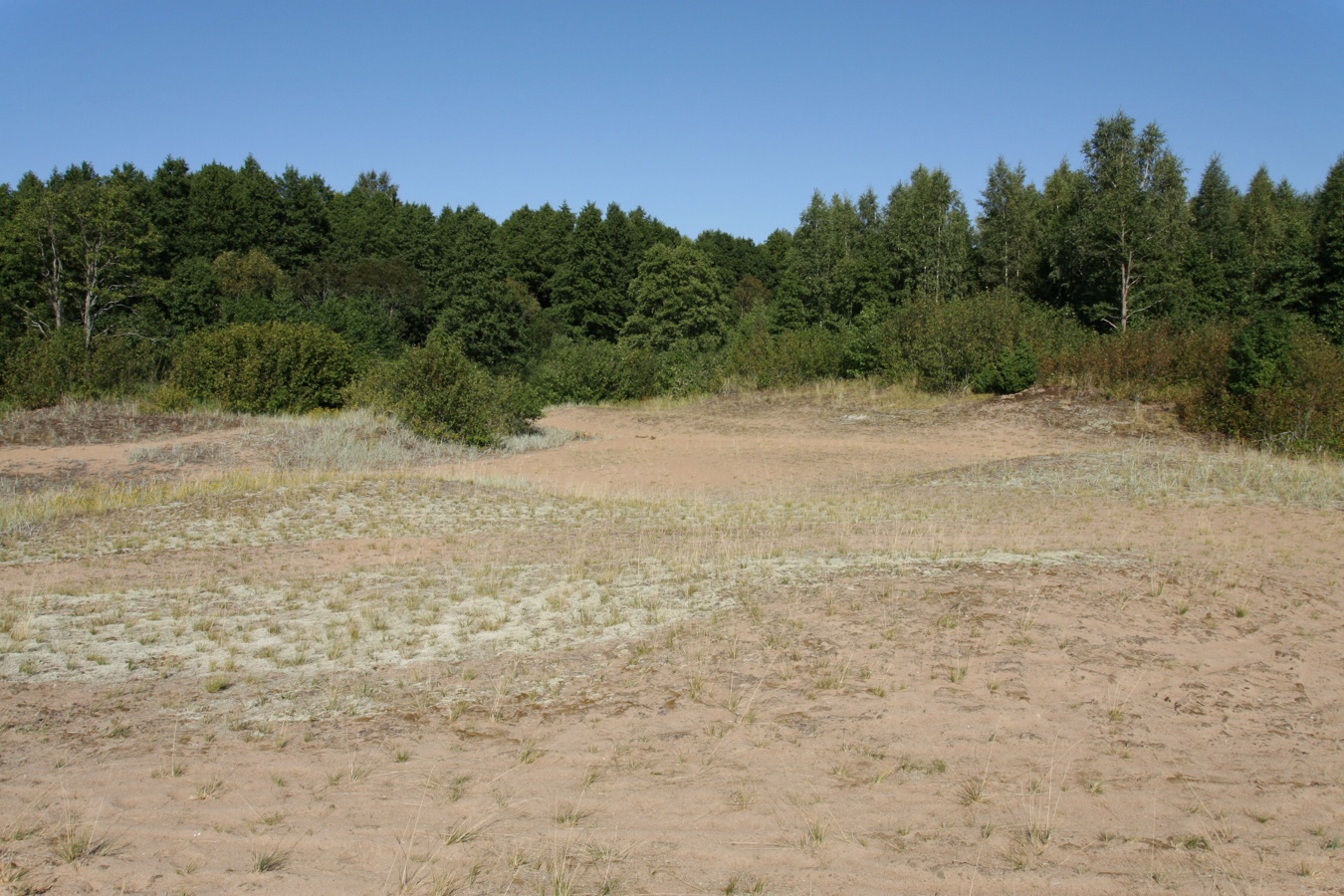 Окрестности Кленно, image of landscape/habitat.