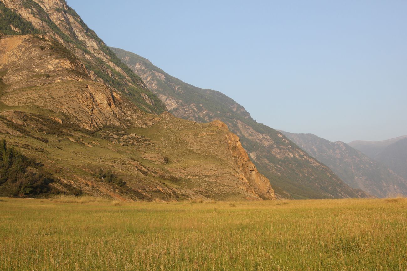 Окрестности урочища Чегее, image of landscape/habitat.