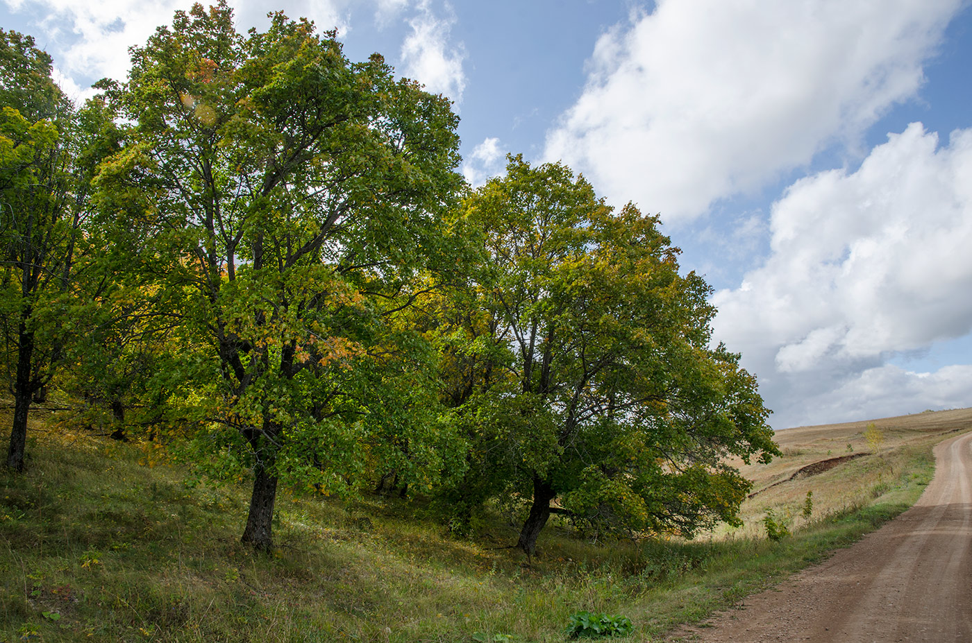 Кальшали, image of landscape/habitat.