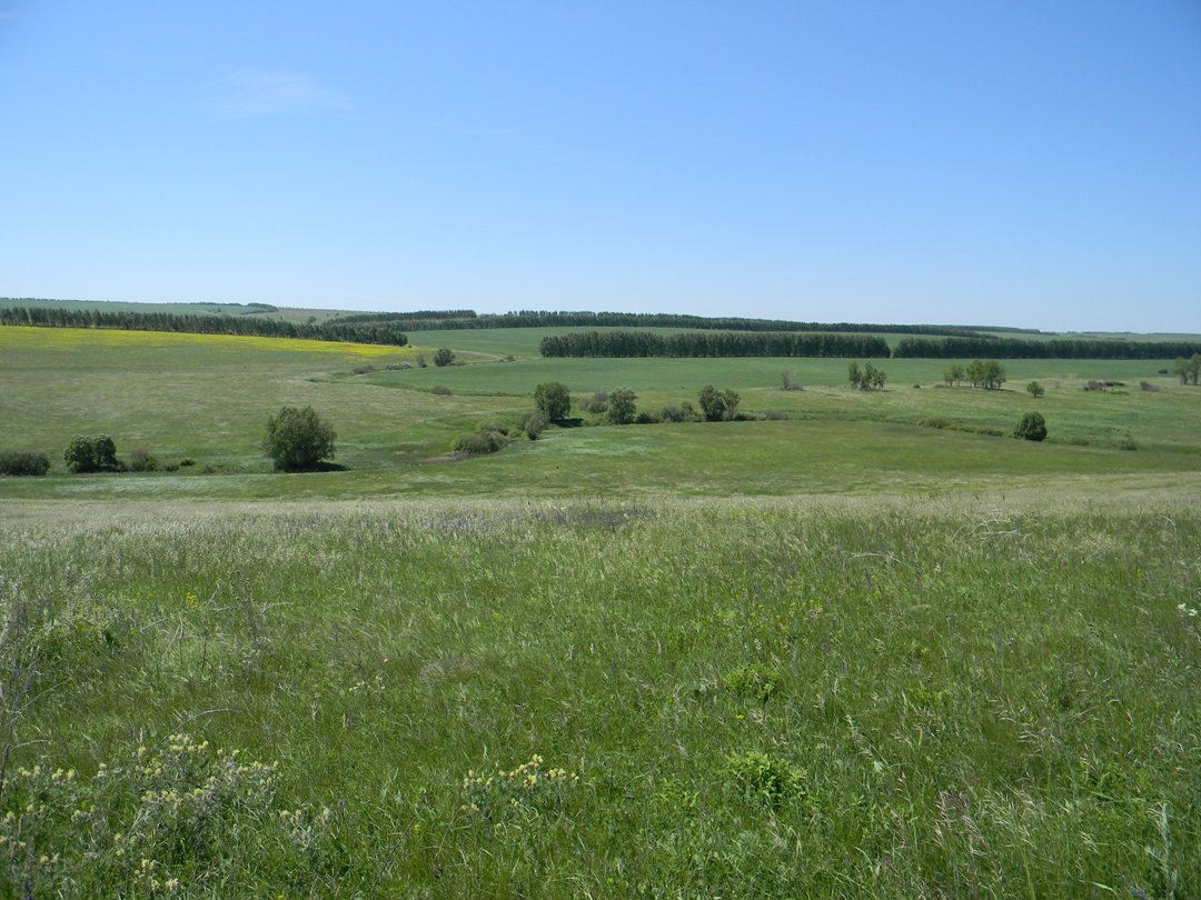 Склоны близ Грабовки, image of landscape/habitat.