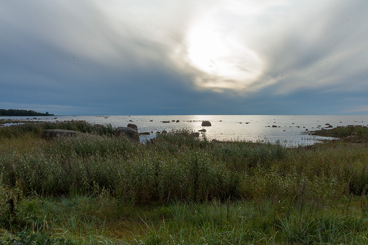 Колгомпя, image of landscape/habitat.