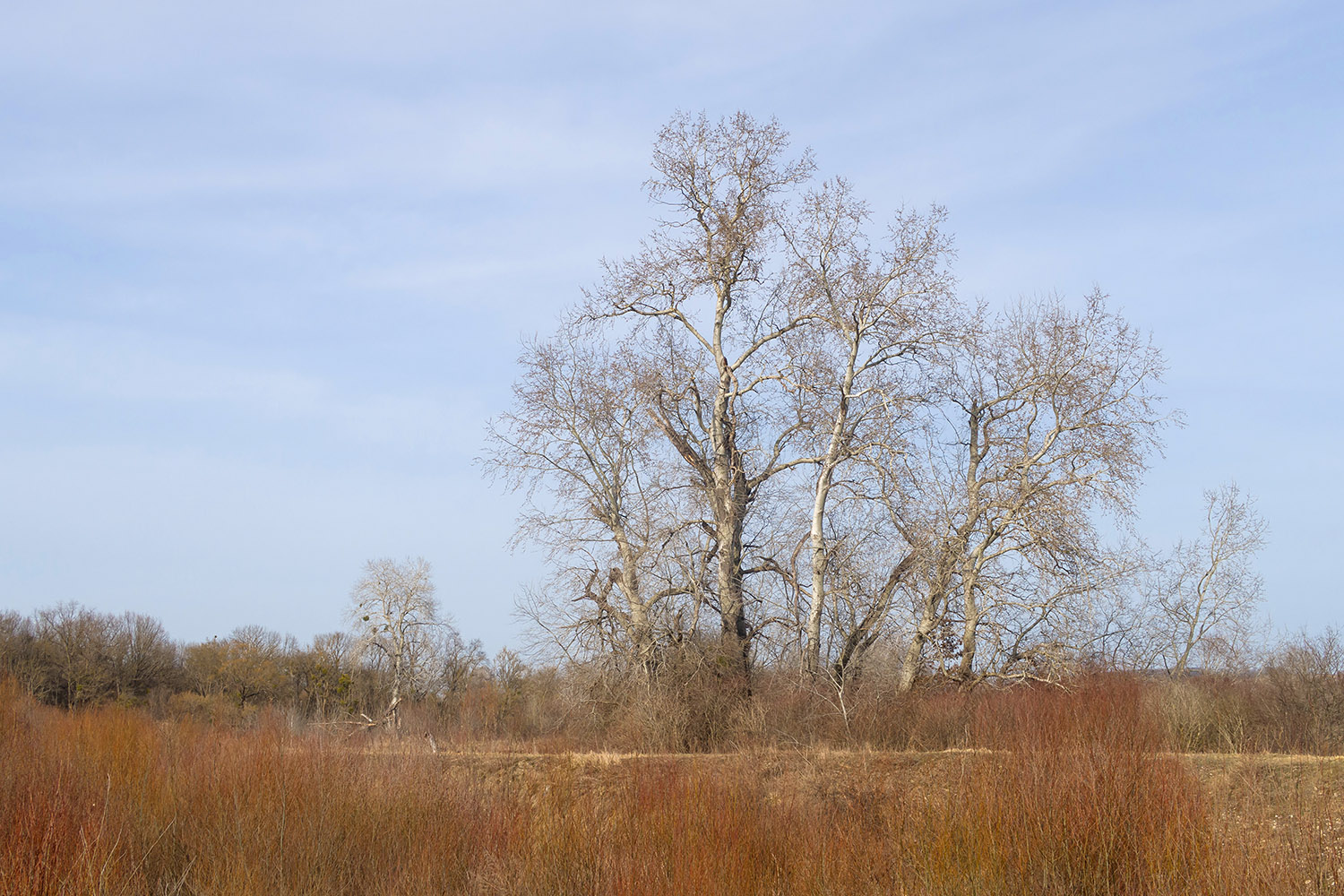 Река Неберджай, image of landscape/habitat.