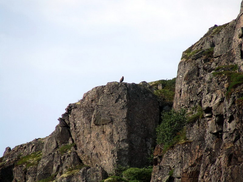 Столбовое озеро, image of landscape/habitat.