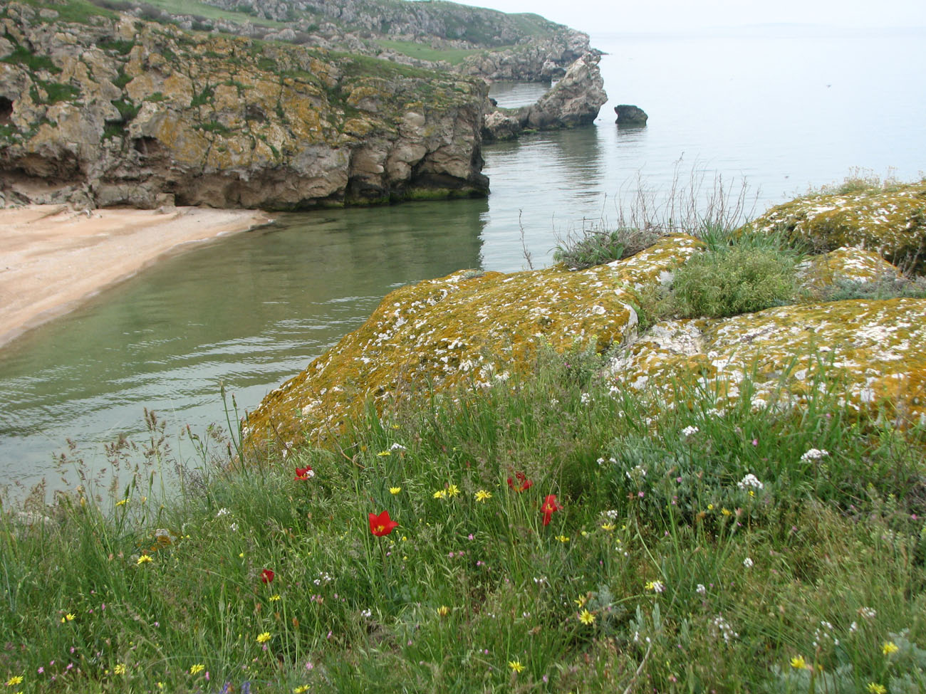 Караларская степь, image of landscape/habitat.