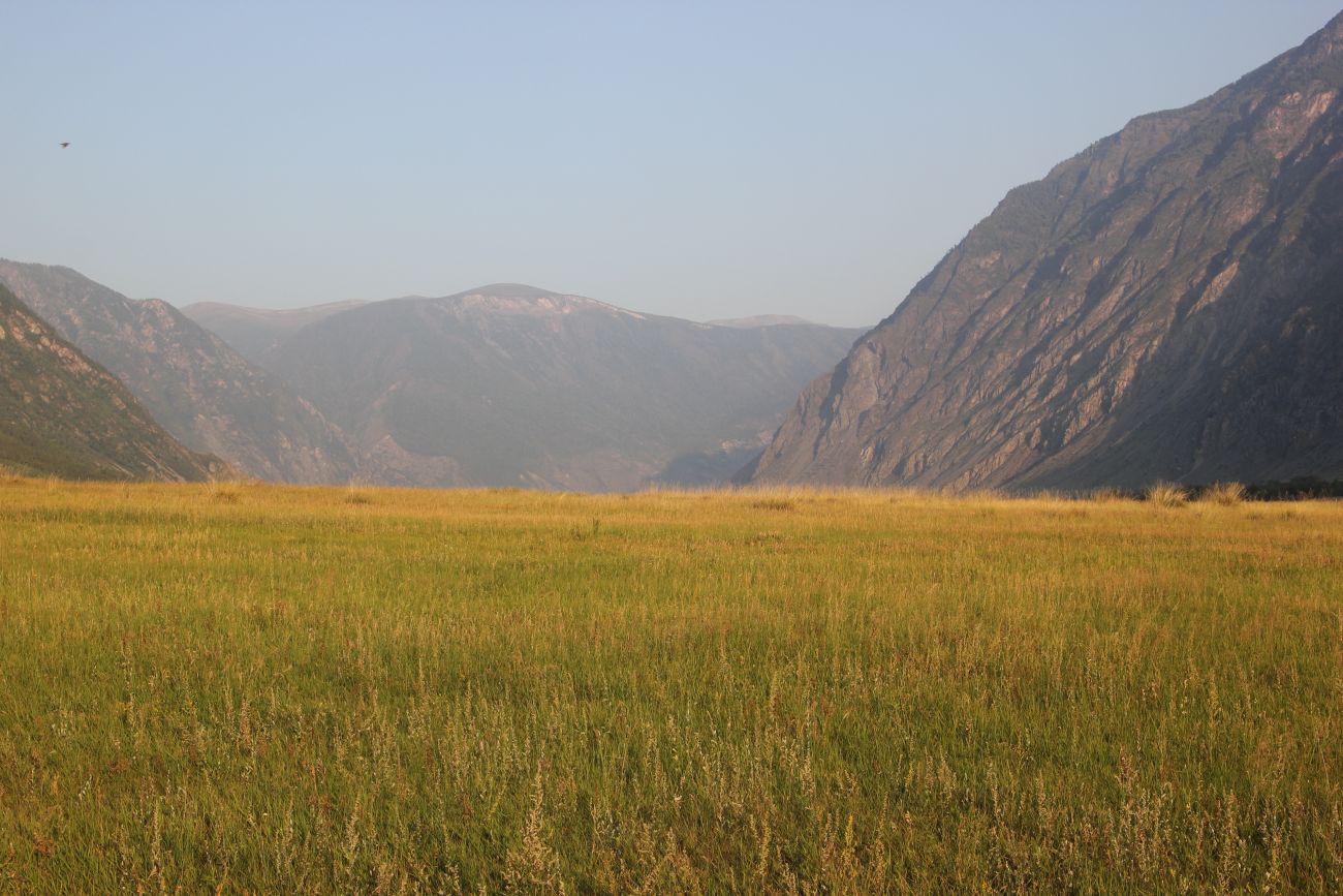 Окрестности урочища Чегее, image of landscape/habitat.