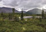 Долина реки Кунийок, image of landscape/habitat.