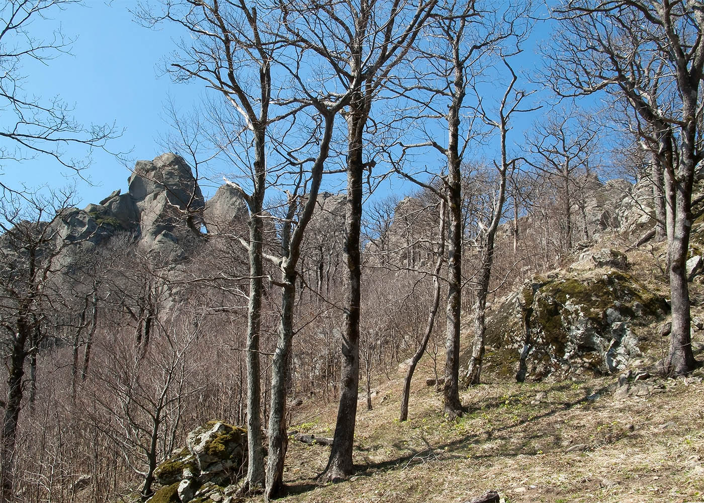 Гора Индюк, изображение ландшафта.