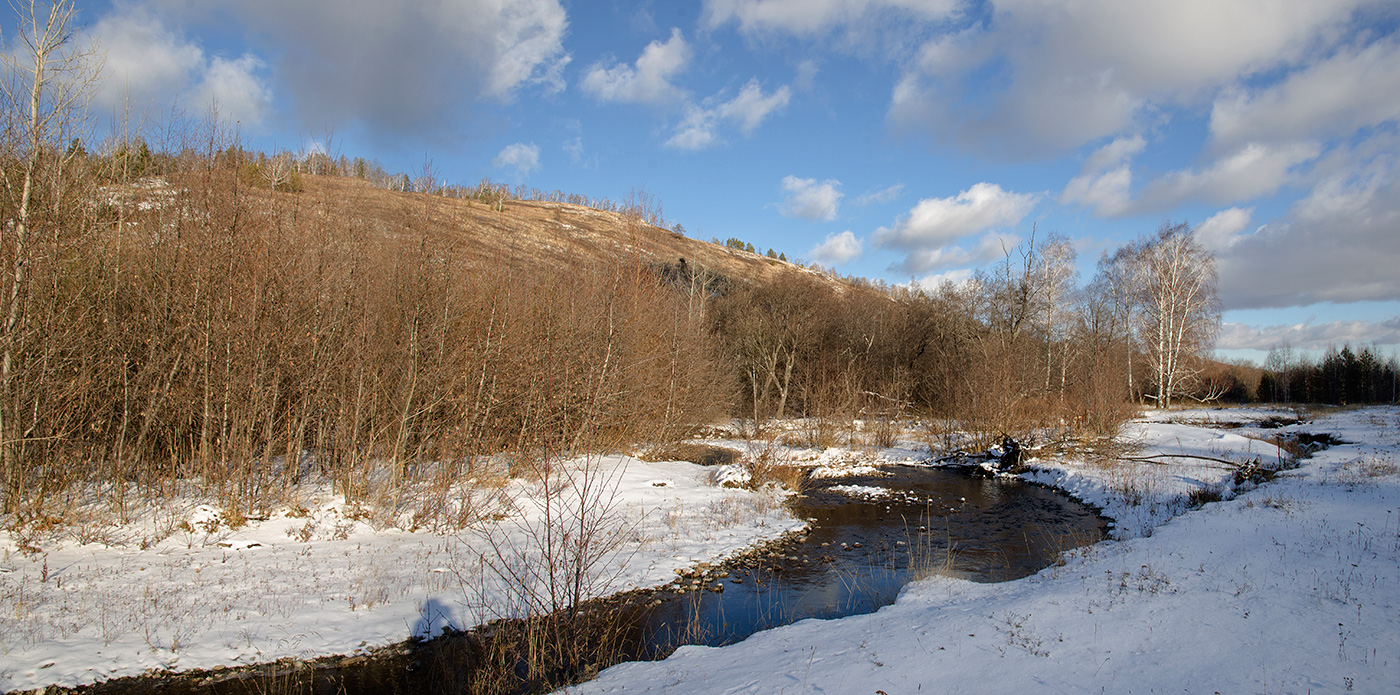 Окрестности Мусино, image of landscape/habitat.