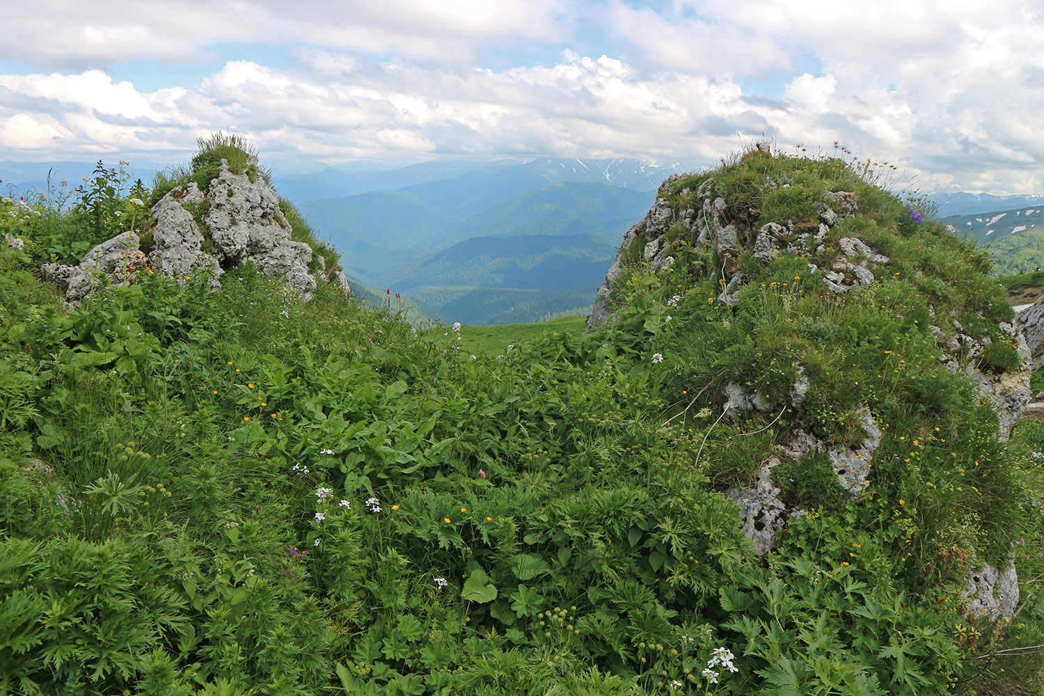 Пик Татьяны, image of landscape/habitat.
