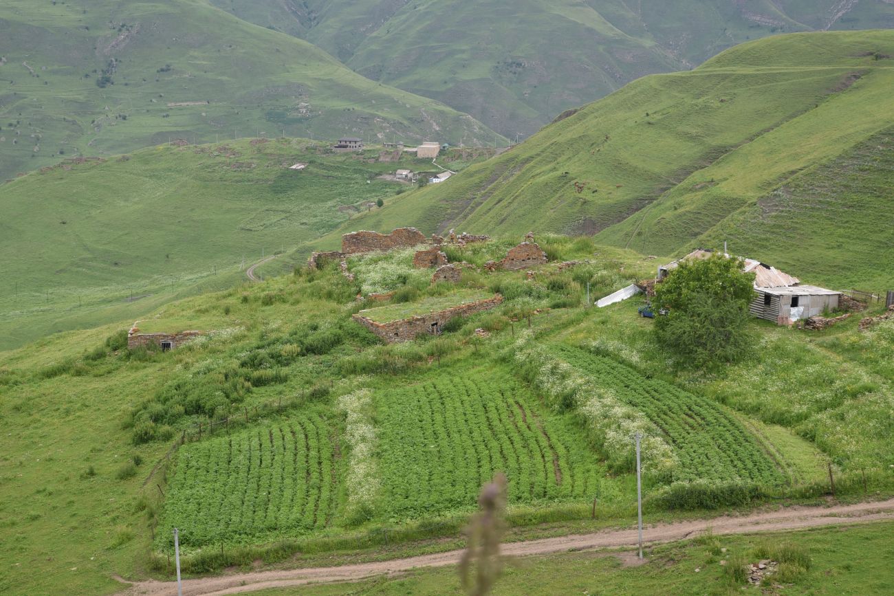 Хакмадой, image of landscape/habitat.