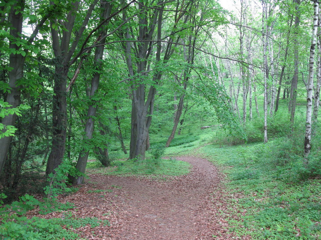 Ботсад им. Гришко, image of landscape/habitat.