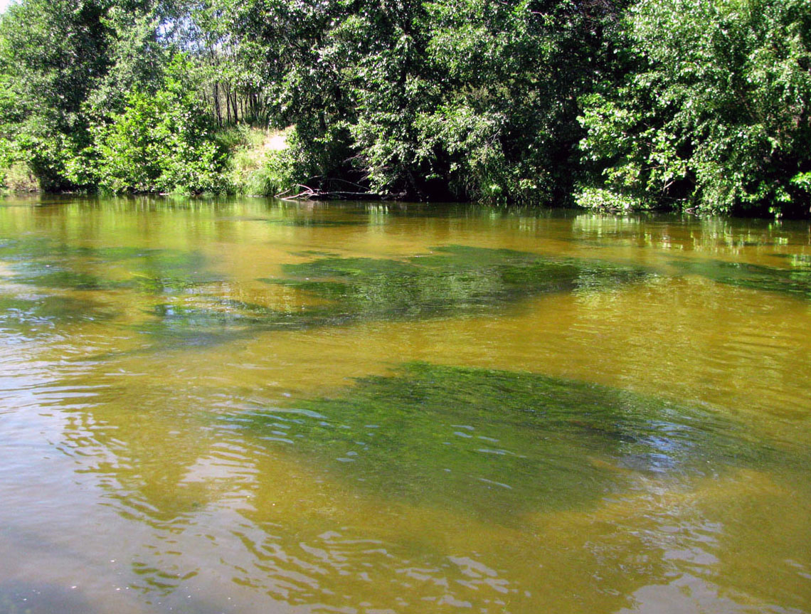 Река Узола, image of landscape/habitat.