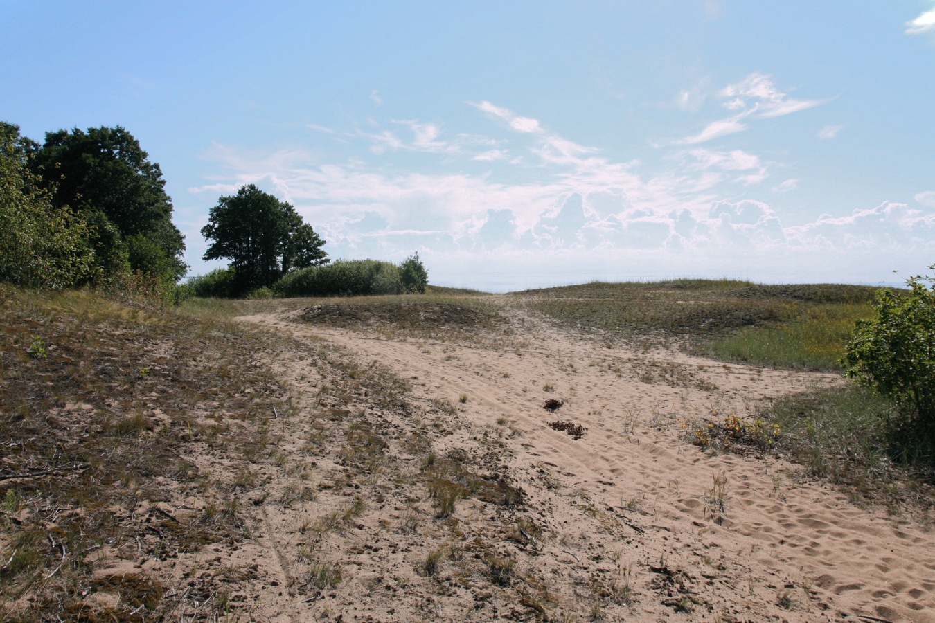 Окрестности Кленно, image of landscape/habitat.