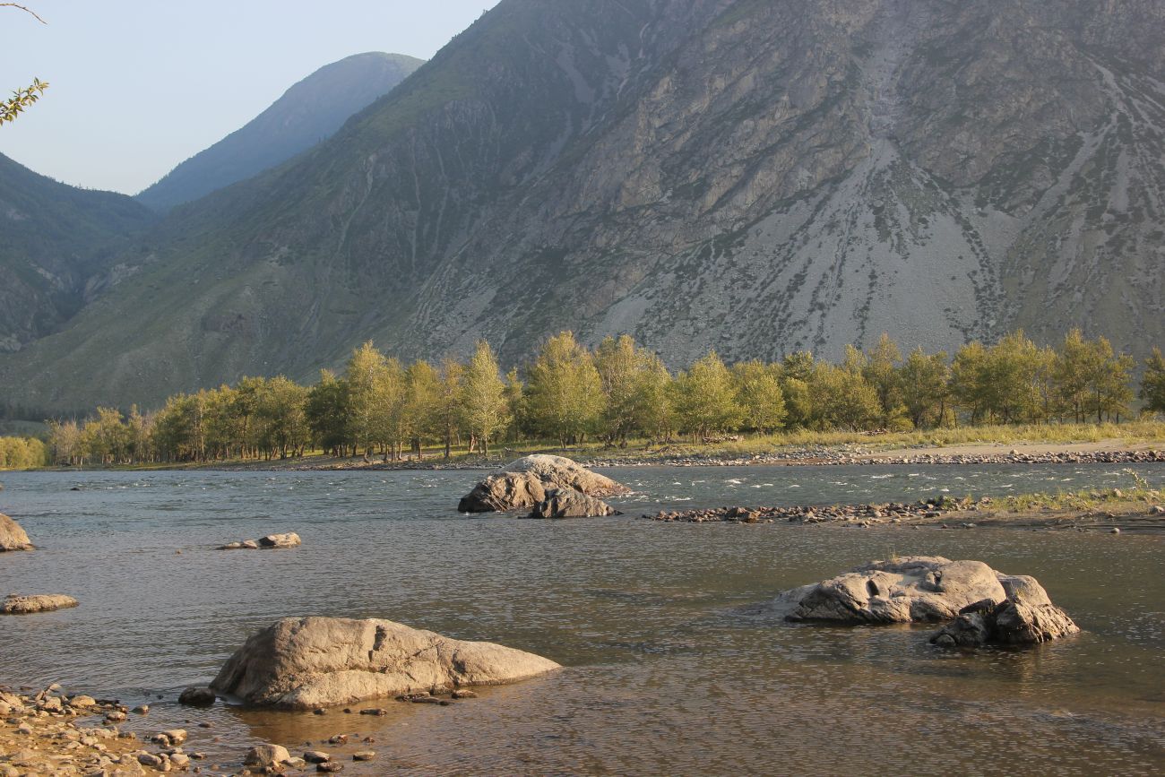 Окрестности урочища Чегее, image of landscape/habitat.