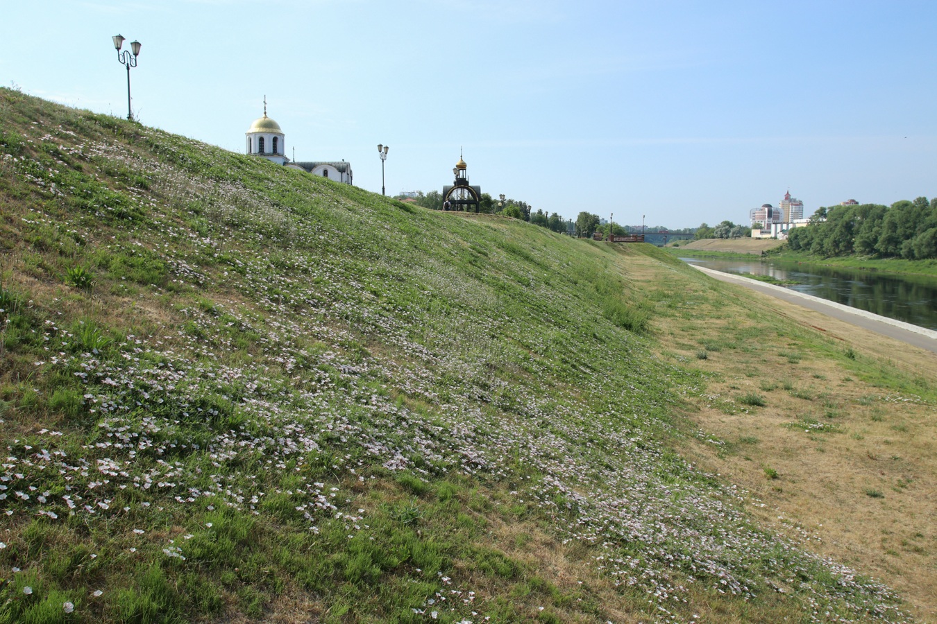 Центр Витебска, image of landscape/habitat.