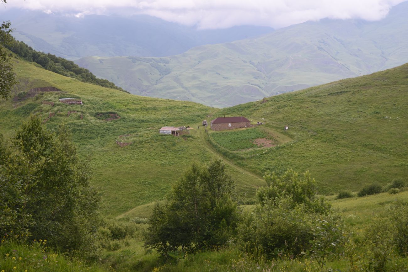 Вторая Чеченская (июнь – июль 2024)