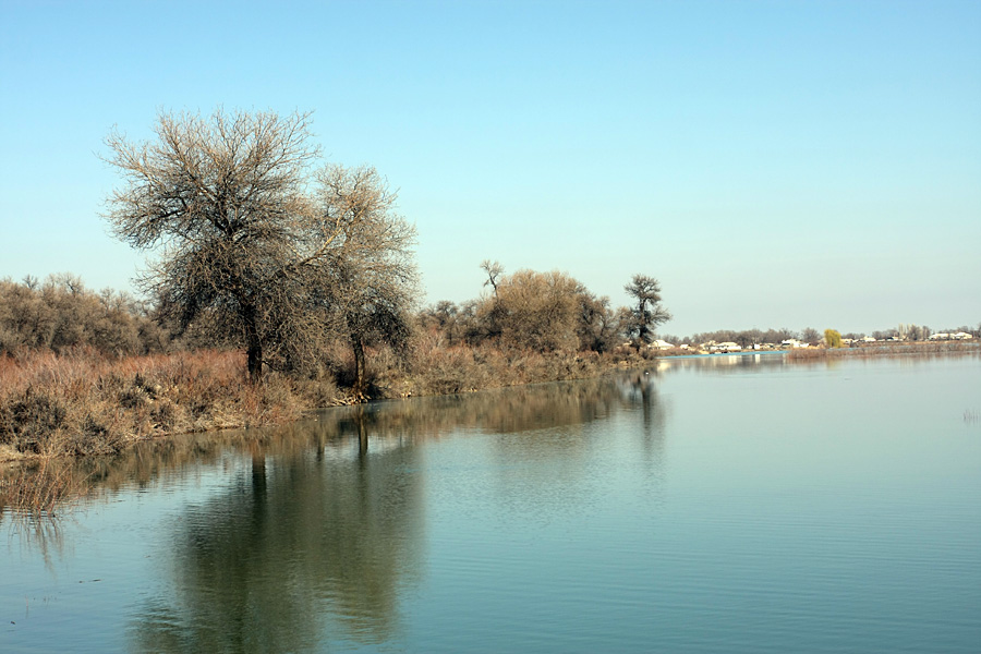 Окрестности Сюткента, image of landscape/habitat.
