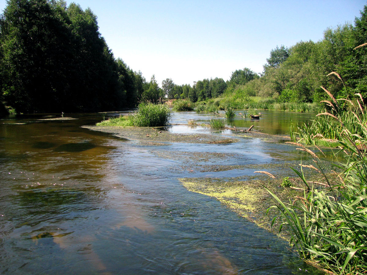 Река Узола Нижегородская область фото