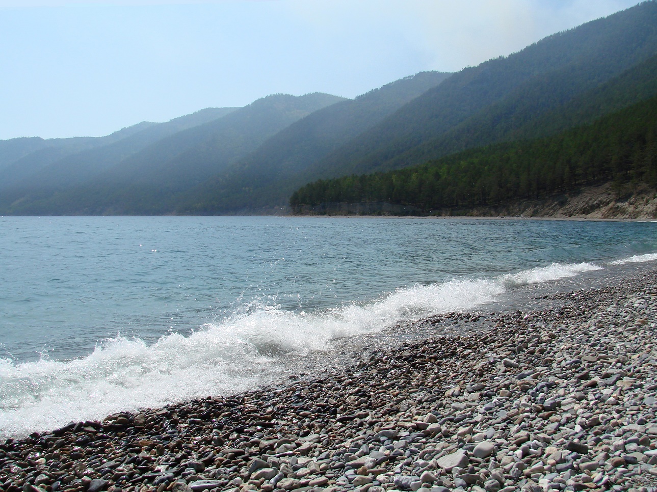 Ушканья падь, image of landscape/habitat.