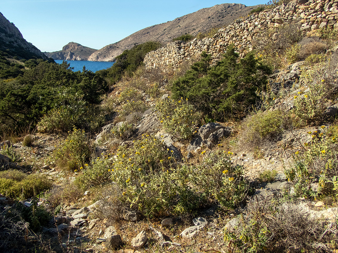 Остров Сирос, image of landscape/habitat.