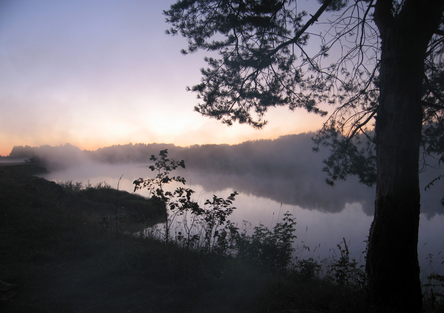 Пойма реки Нея, image of landscape/habitat.