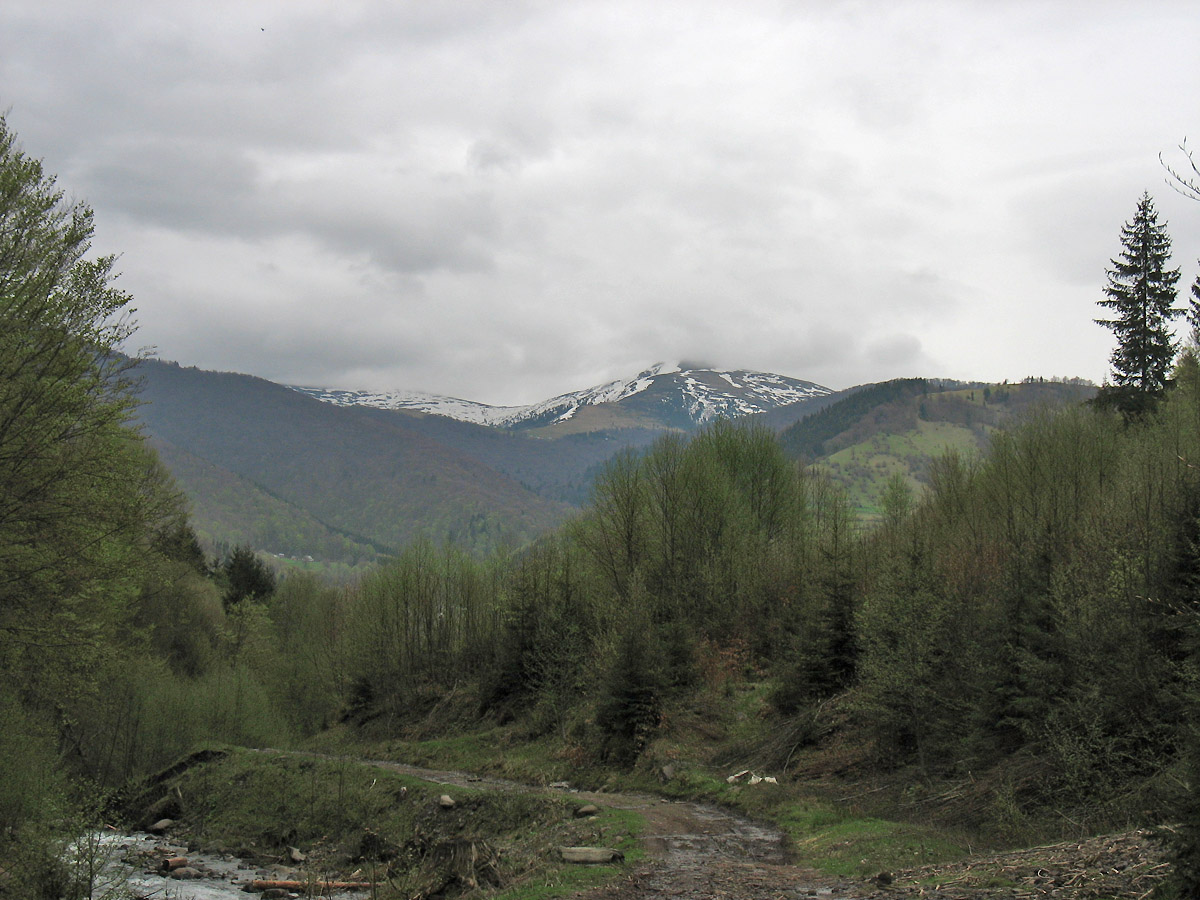 Окрестности села Квасы, image of landscape/habitat.