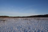 Барский Луг, image of landscape/habitat.