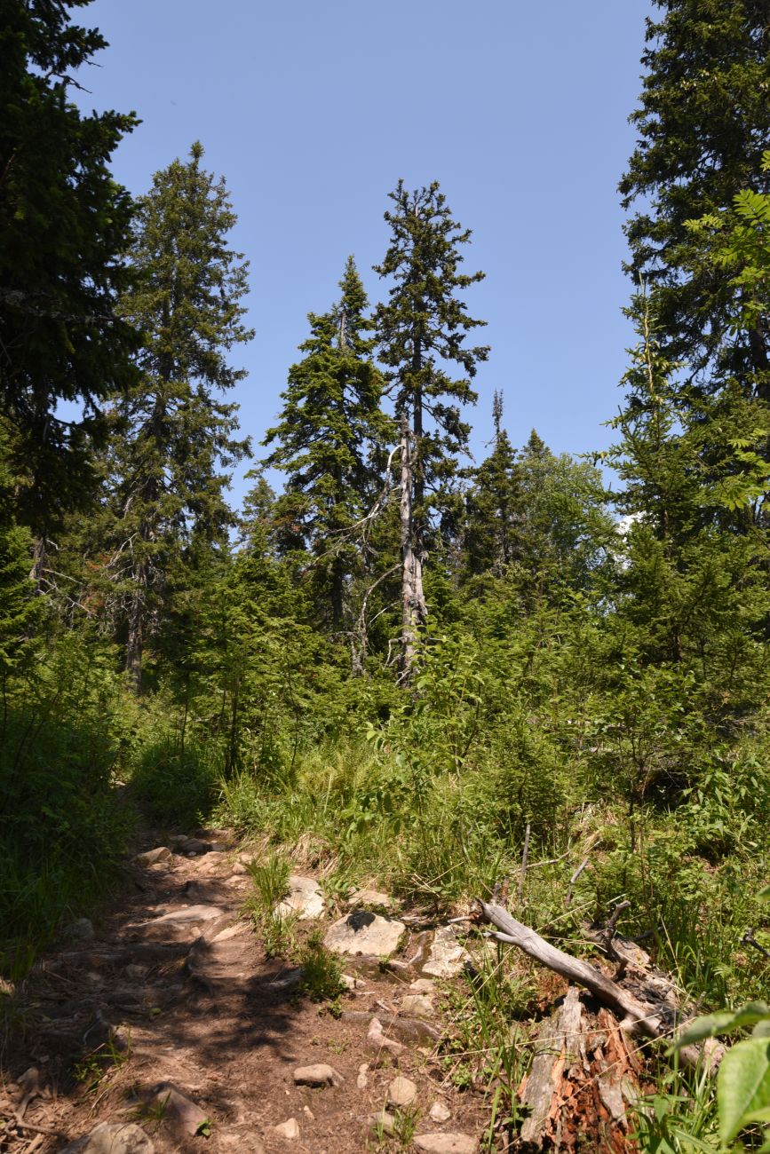 Приют «Таганай», image of landscape/habitat.