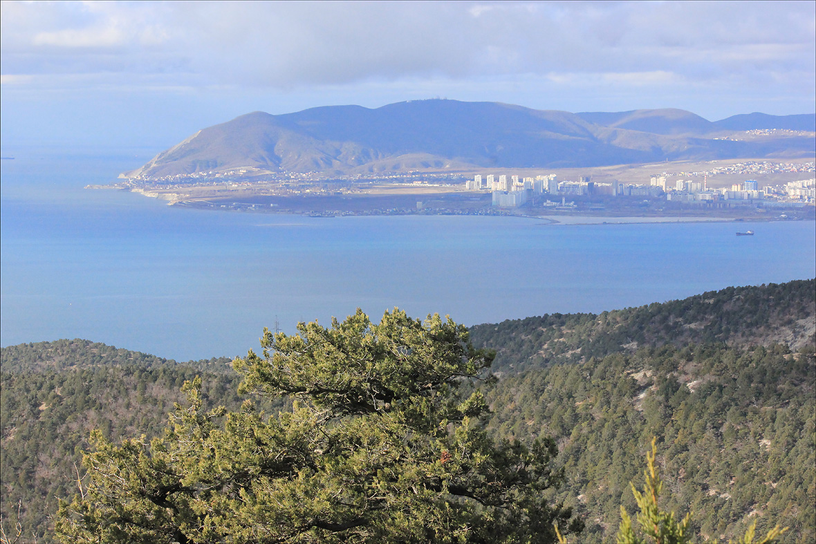 Отроги горы Совхозная, image of landscape/habitat.