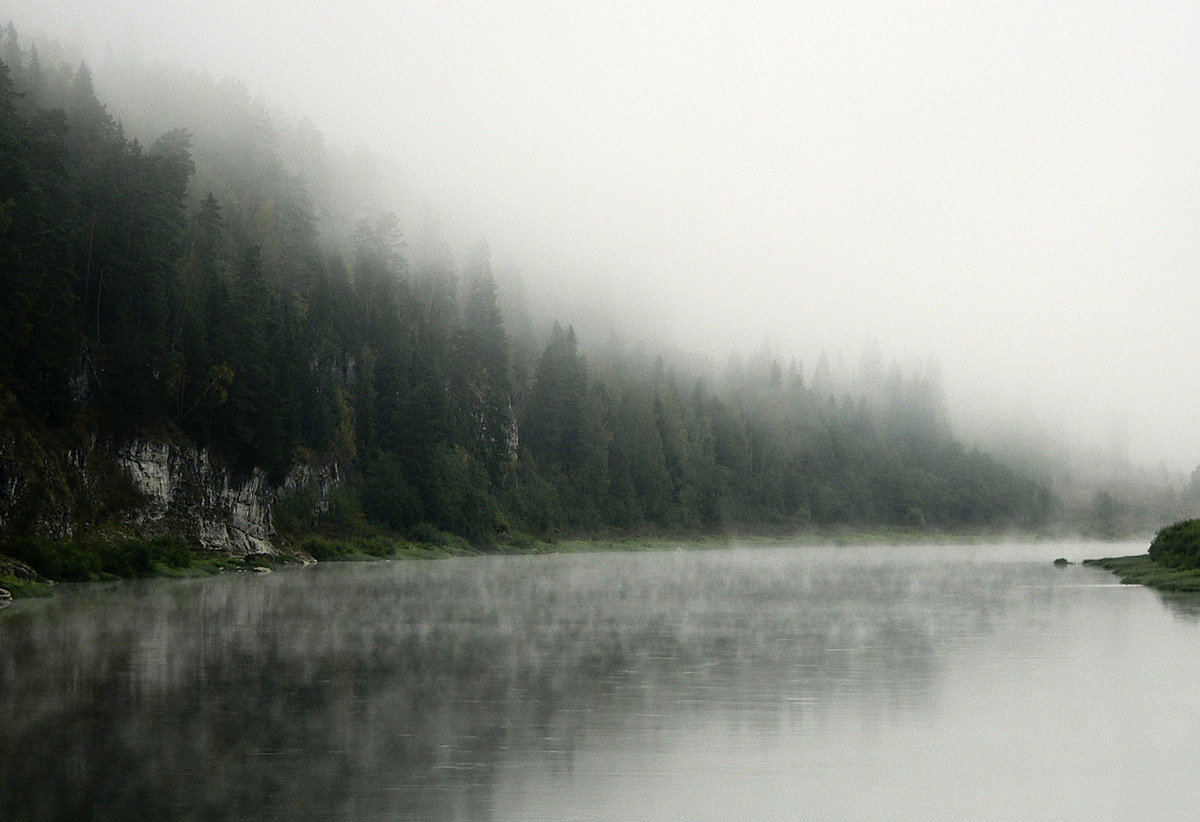 Устье Поныш и его окрестности, image of landscape/habitat.