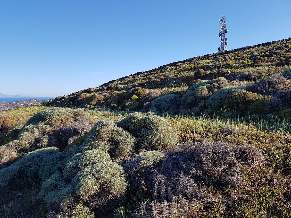 Остров Сирос, image of landscape/habitat.