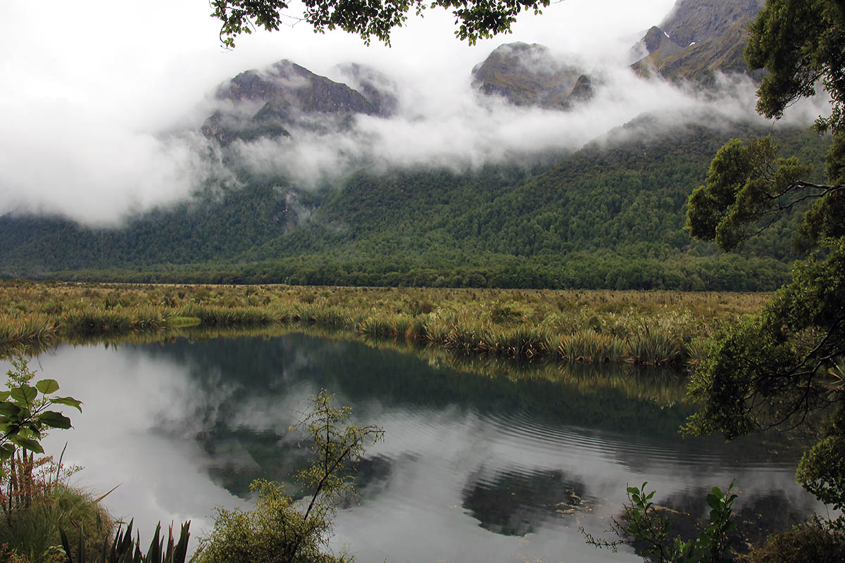 Фьордленд, image of landscape/habitat.