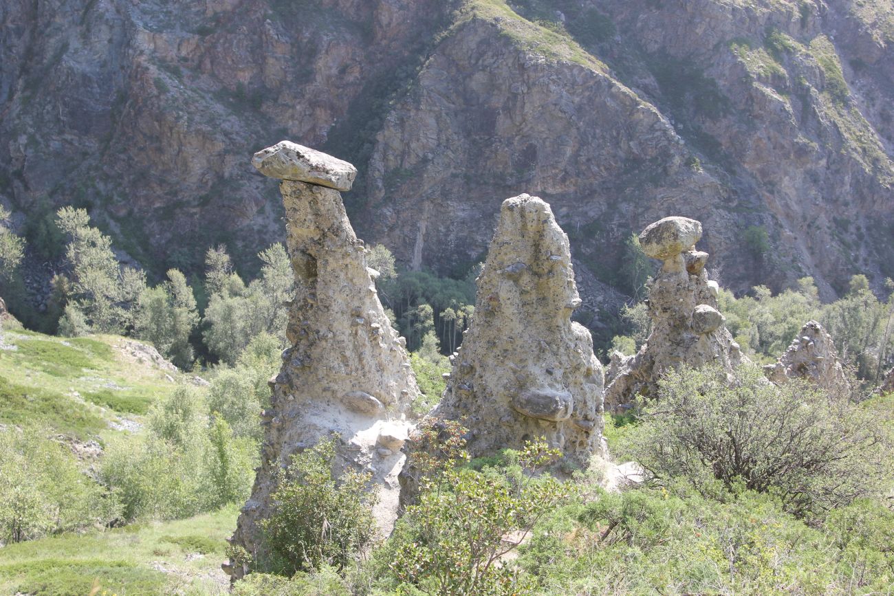 Ак-Курум и окрестности, image of landscape/habitat.