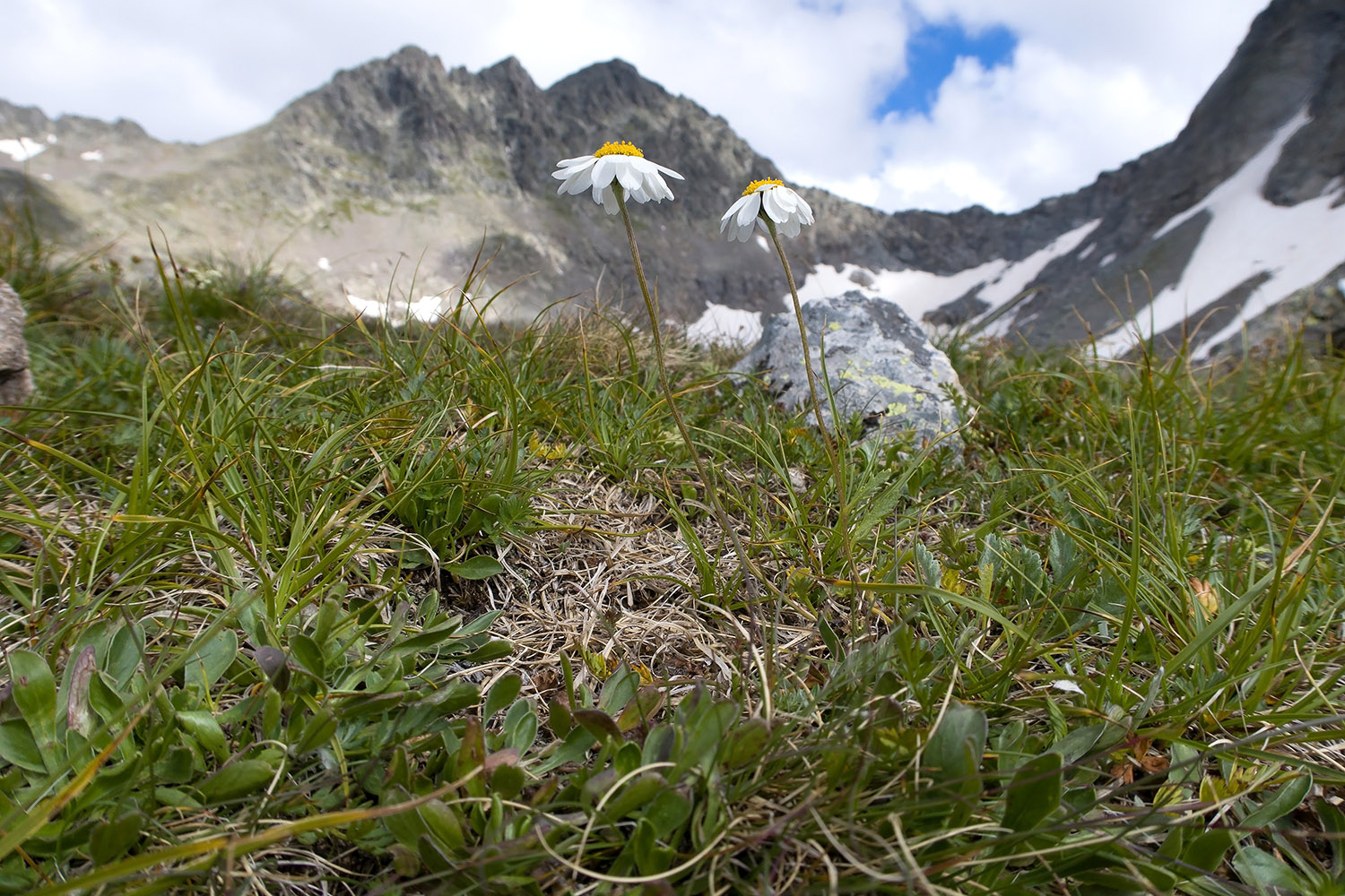 Озеро Буша, image of landscape/habitat.